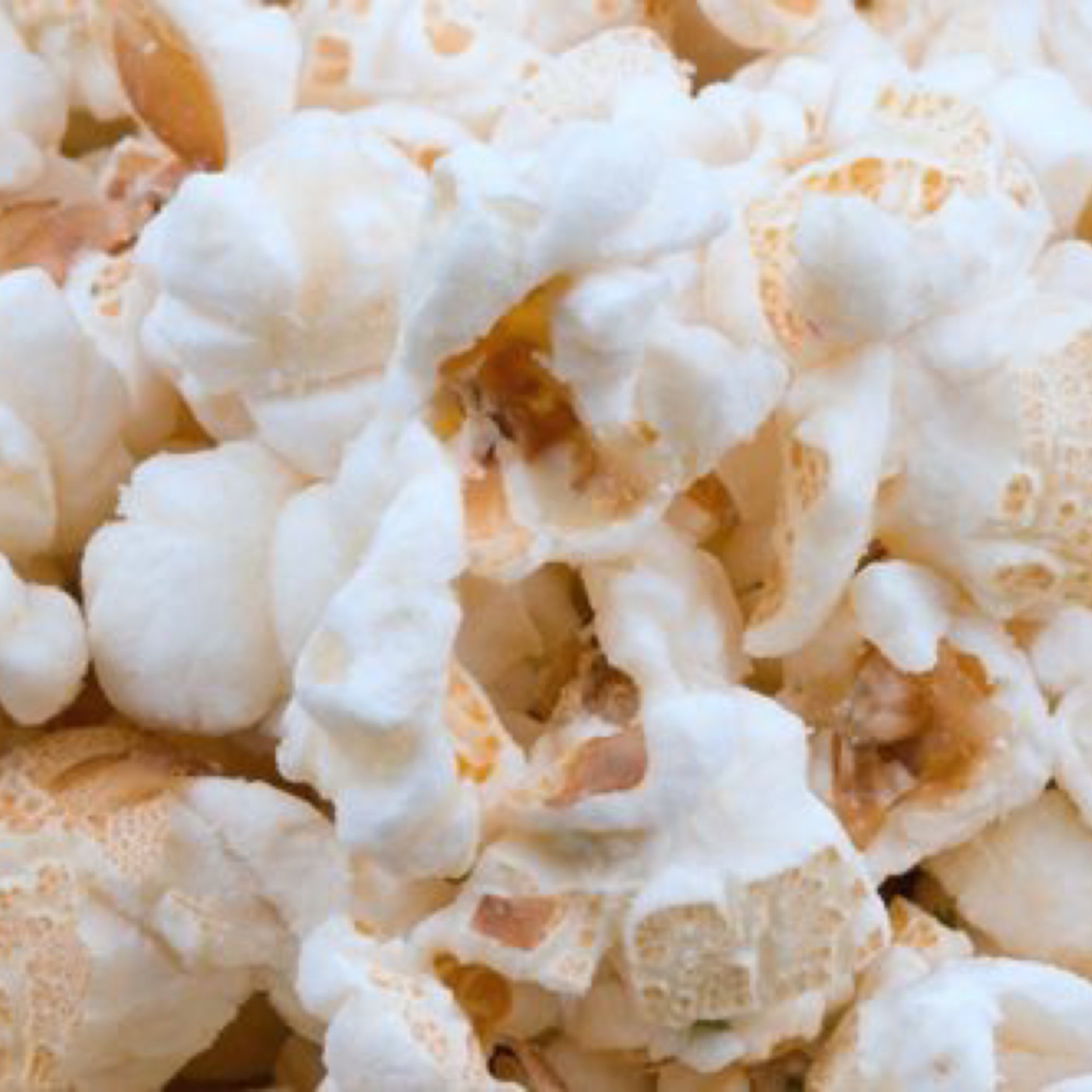 Poparazzi's White Cheese Popcorn POParazzi's Popcorn