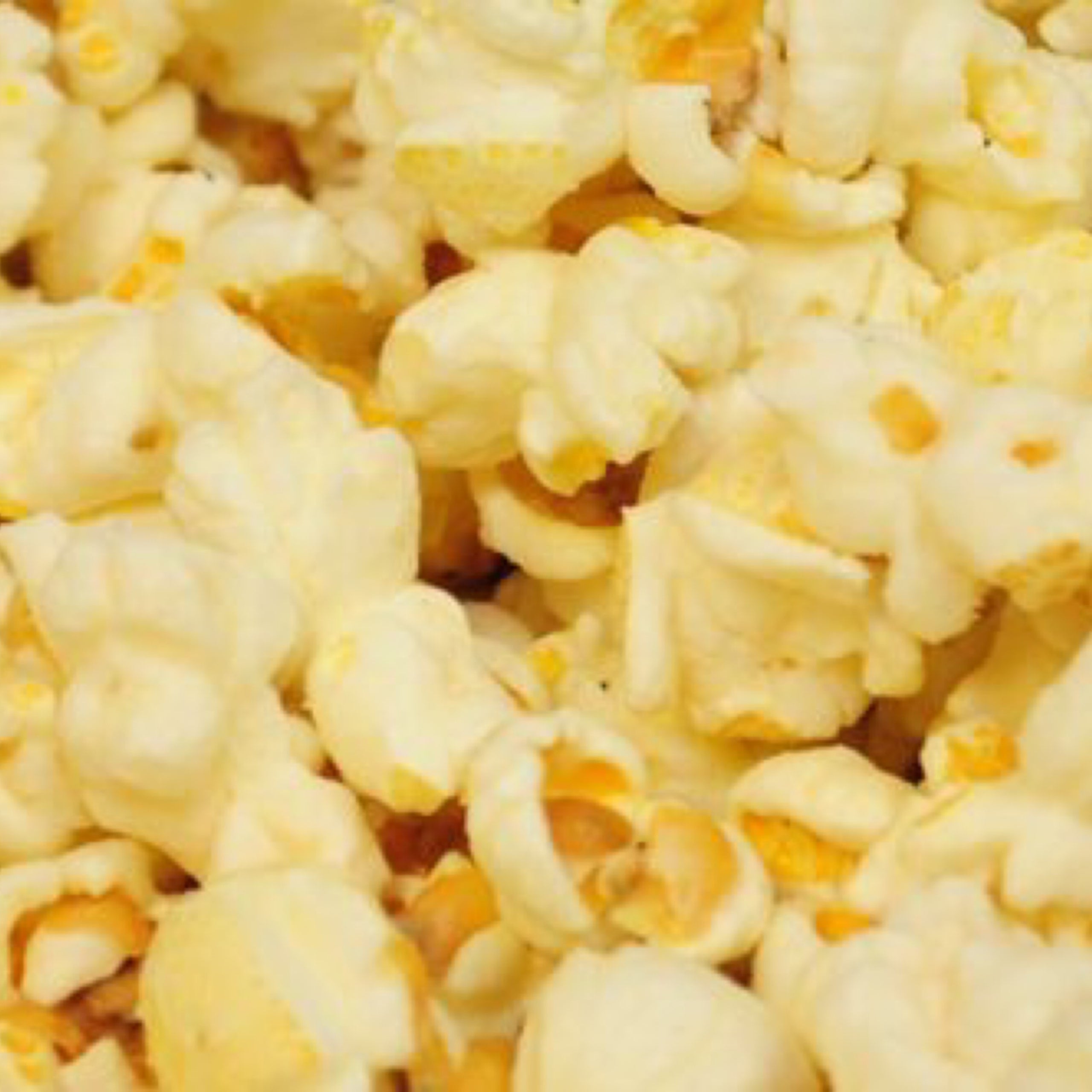 Salt & Vinegar JUMBO POParazzi's Popcorn