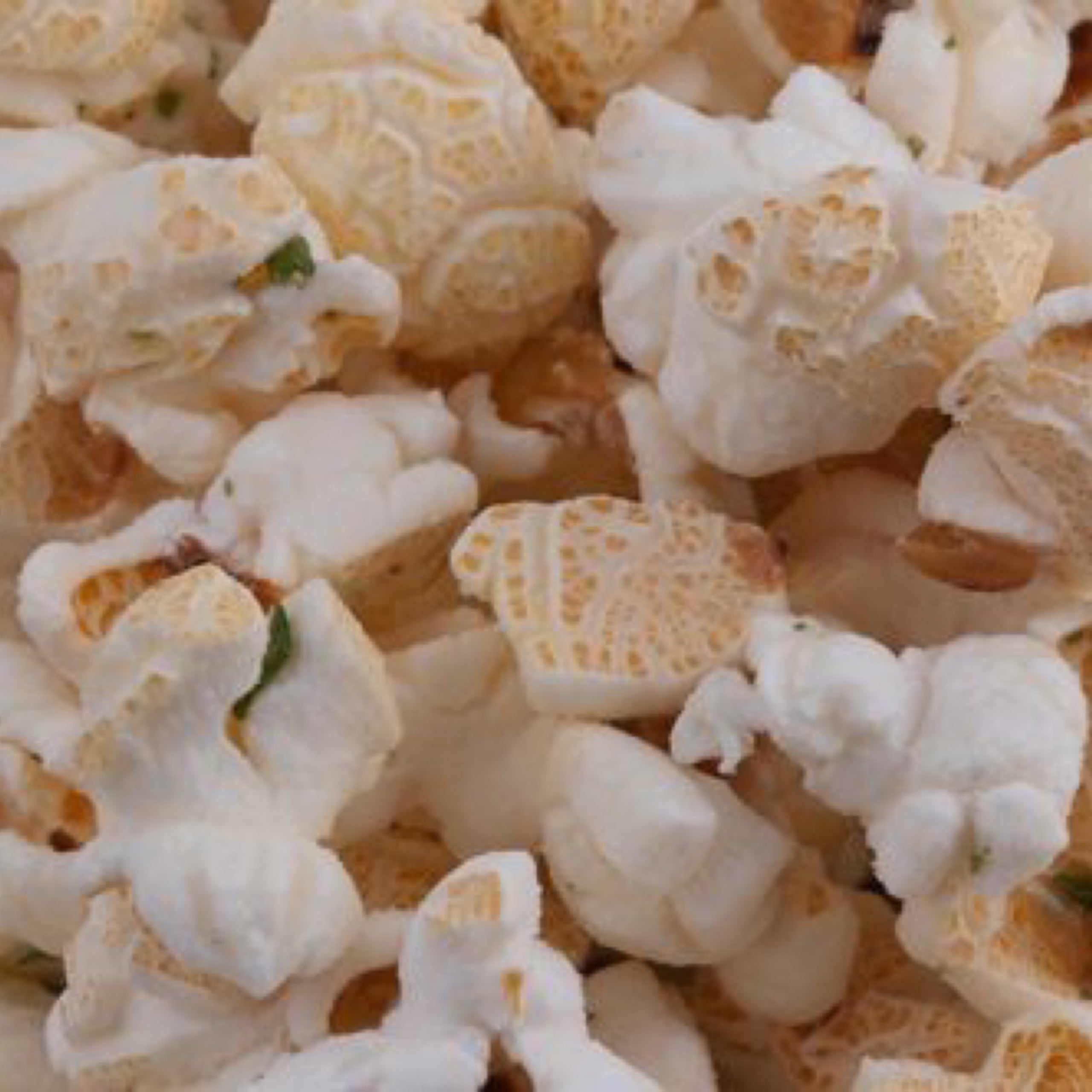 Poparazzi's Sour Cream & Chives Popcorn POParazzi's Popcorn