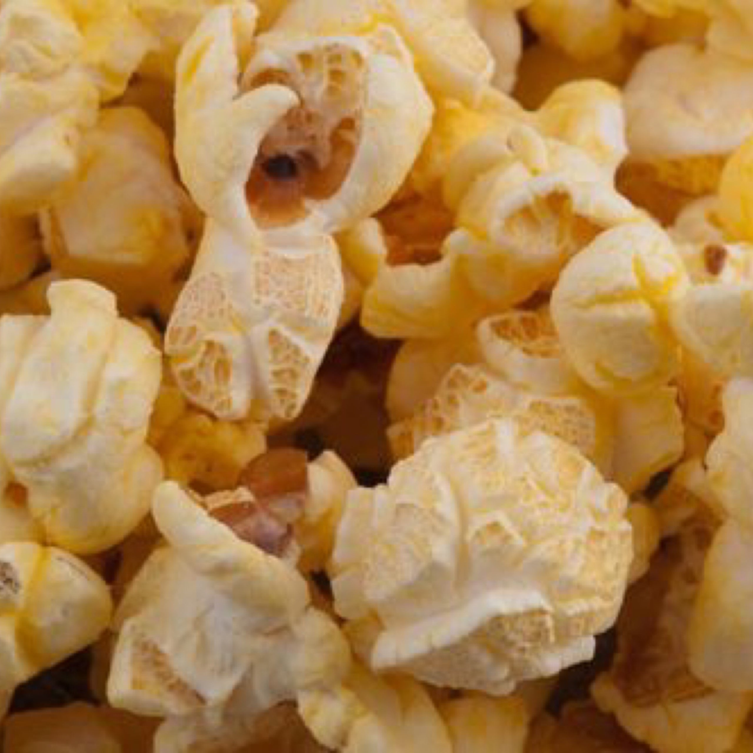 Poparazzi's Movie Butter Popcorn POParazzi's Popcorn