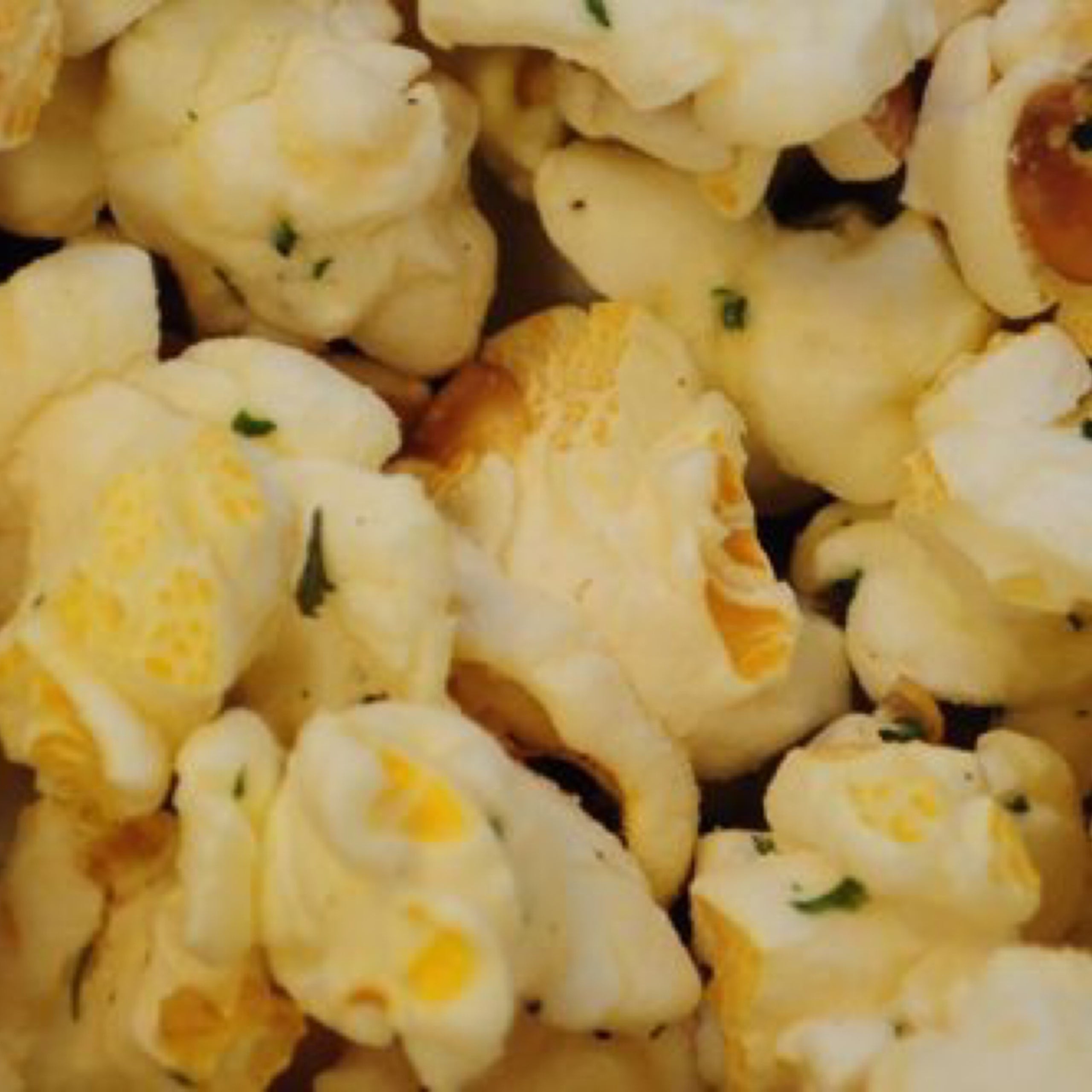 Ranch SMALL POParazzi's Popcorn